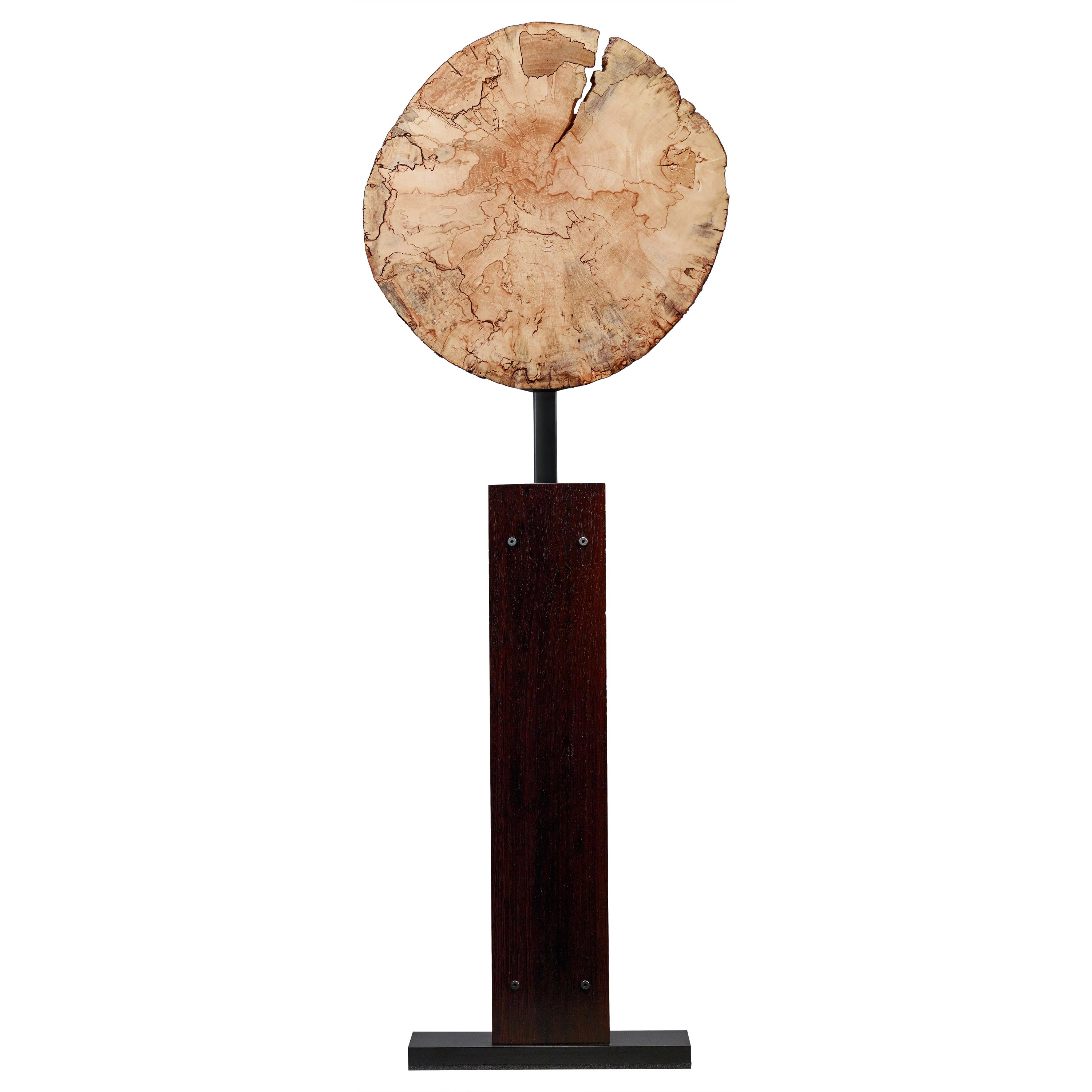 21st Century Modern Organic Table Sculpture with Spalted Maple, Wenge, Nautilus