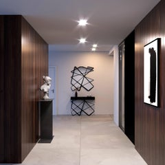 organischer moderner Akzent-Wandspiegel aus schwarz lackiertem Stahl und schwarzem Glas