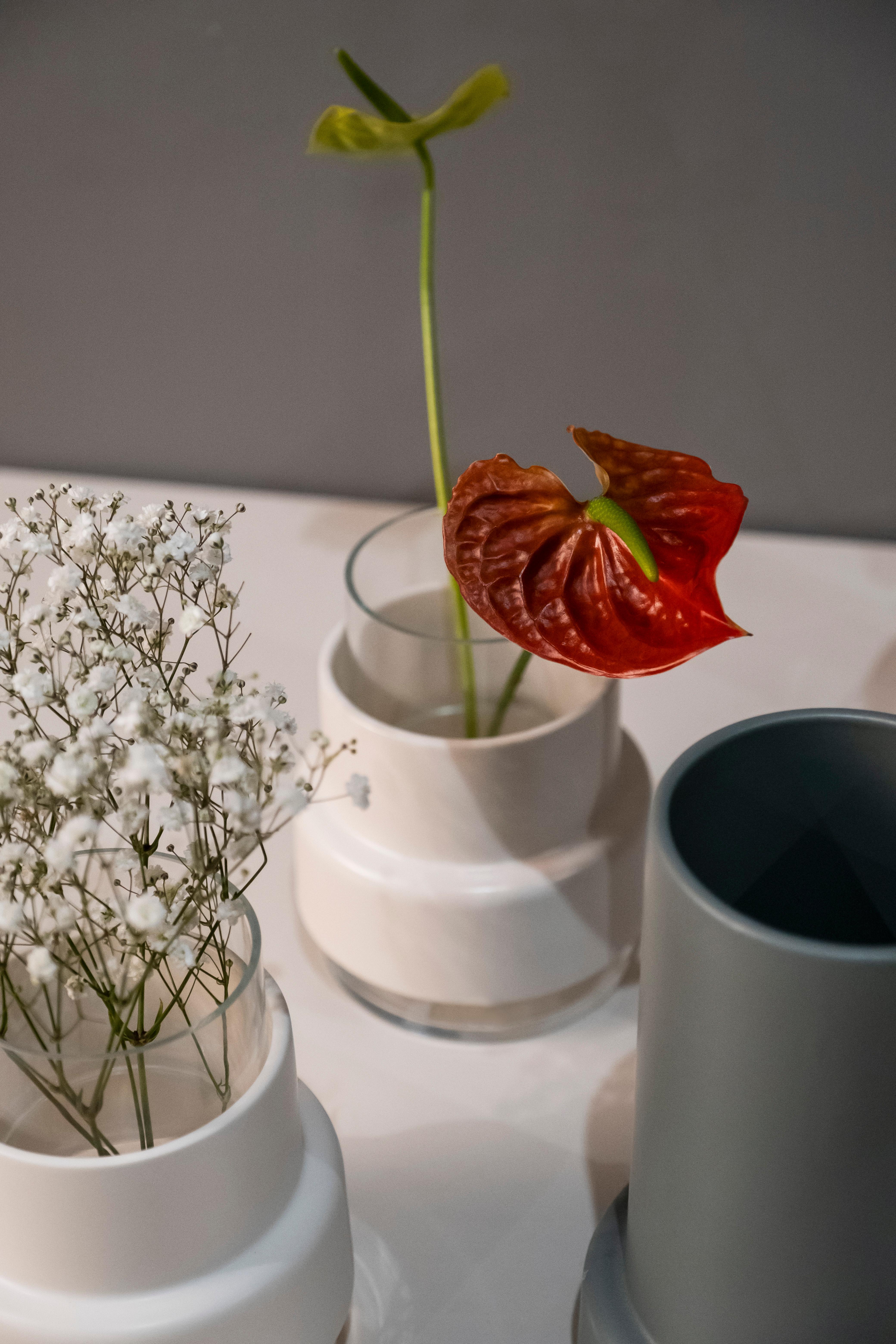 Set/5 Vasen, Keramikvasen, Weiß-Grün, handgefertigt in Portugal von Lusitanus Home im Angebot 1