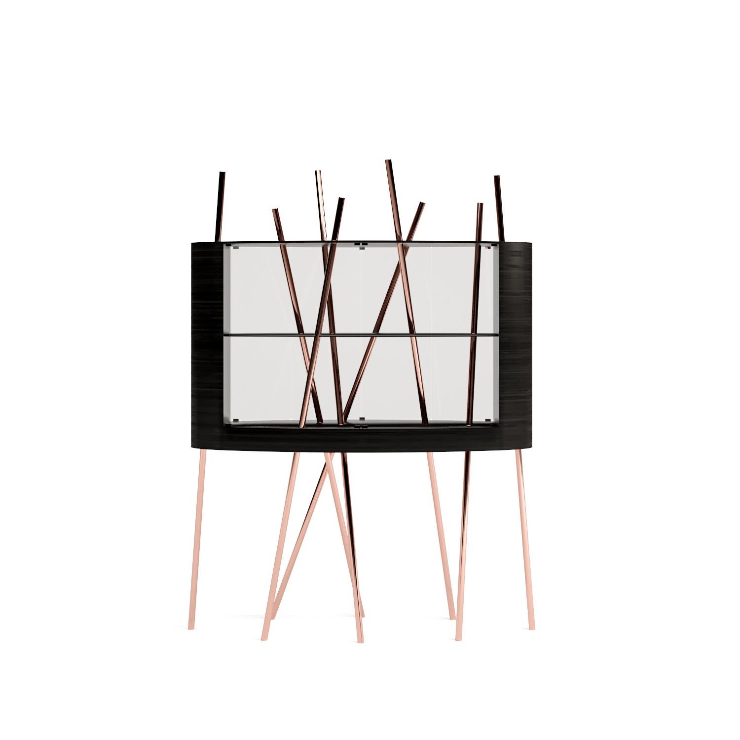 Vitrine Display Case in Black Oak Wood, Black Lacquered Wood and Brushed Copper For Sale 4