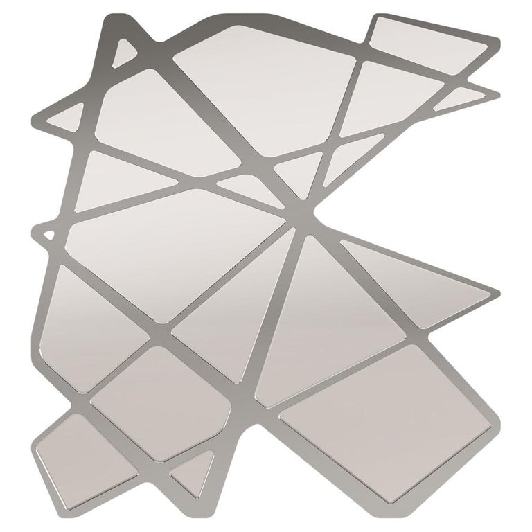 NatureInspired Organic Wall Mirror in Brushed Stainless Steel and