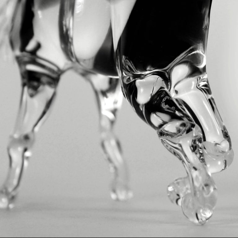 21st Century Murano Glass Horse, Grey and Transparent, Murano Blown Glass In Excellent Condition For Sale In Montichiari, IT