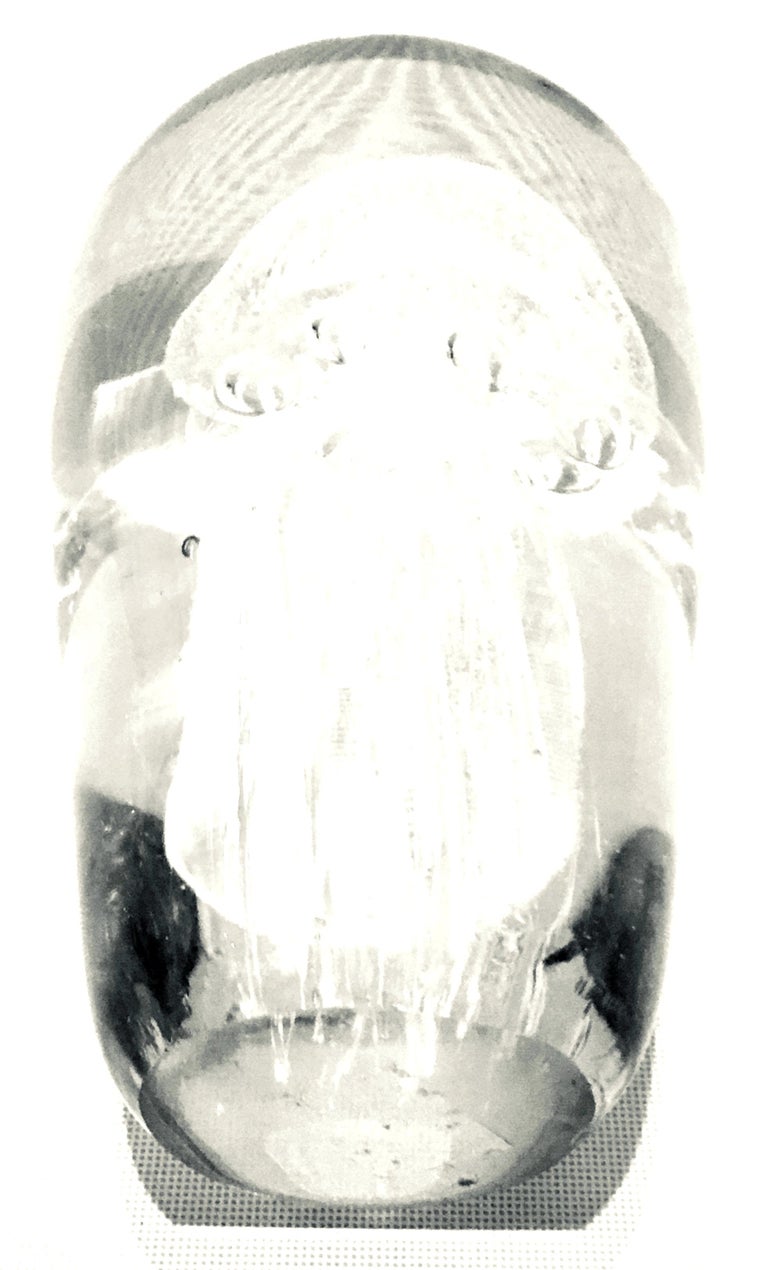 21st Century and New Hand Blown Art Glass Jellyfish Sculpture For Sale ...