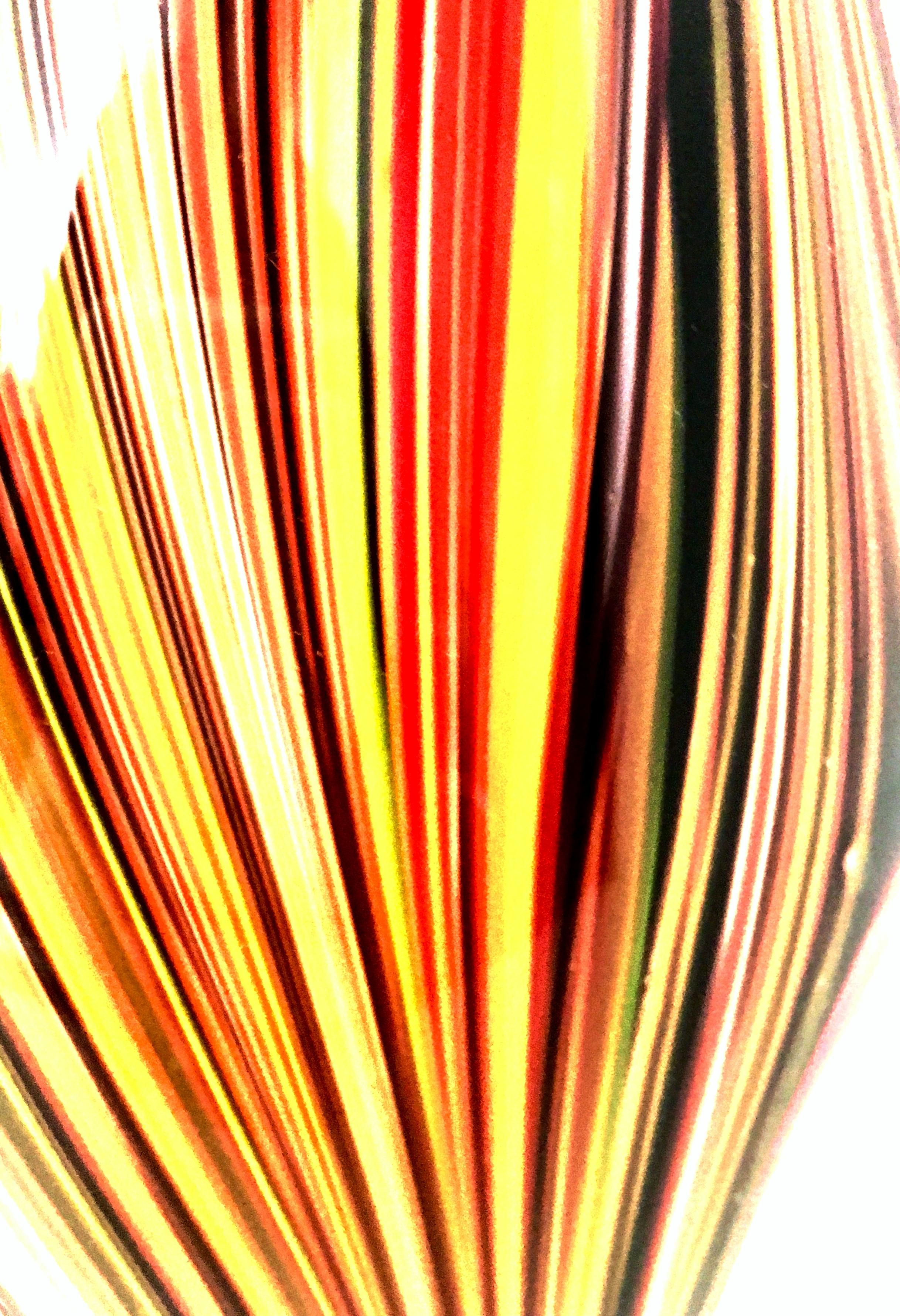 21st Century and New Missoni Modern Optical Striped Blown Glass Vase 6