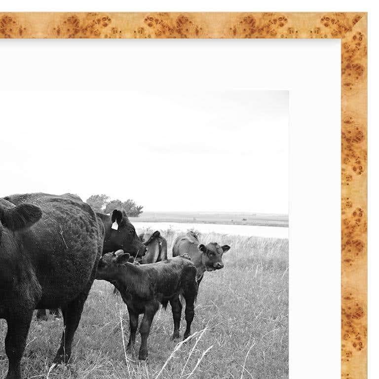 American Classical 21st Century Nowata Oklahoma Cattle Ranch Print in Black and White For Sale
