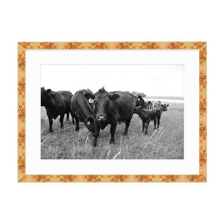 American 21st Century Nowata Oklahoma Cattle Ranch Print in Black and White For Sale