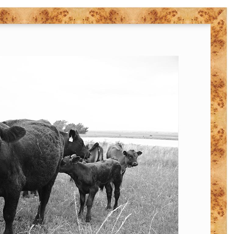American Classical 21st Century Oklahoma Ranch Framed Burl Wood Print with White Matte For Sale