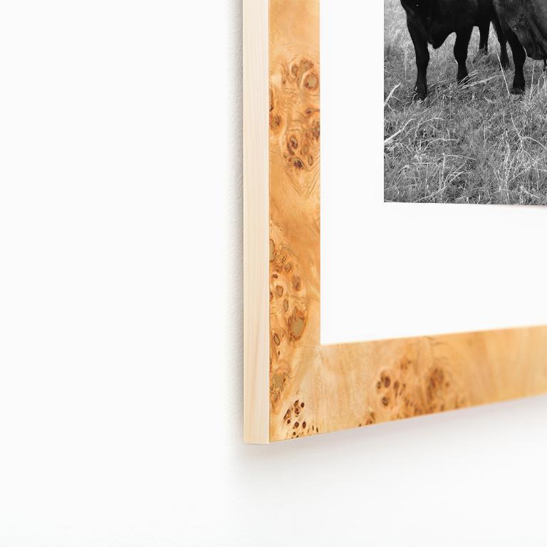North American 21st Century Oklahoma Ranch Framed Burl Wood Print with White Matte For Sale