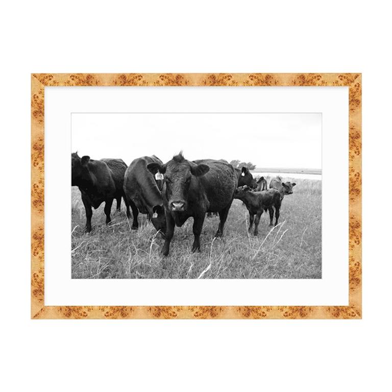 21st Century Oklahoma Ranch Framed Burl Wood Print with White Matte