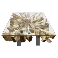 21st Century Organic Modern Teak Root Coffee/ Sofa Table, Glass Plate, IDN 2024