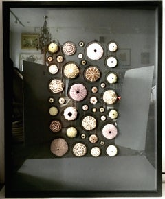 21st Century Original "Urchin Mosaic" Mounted & Framed by Christopher Marley