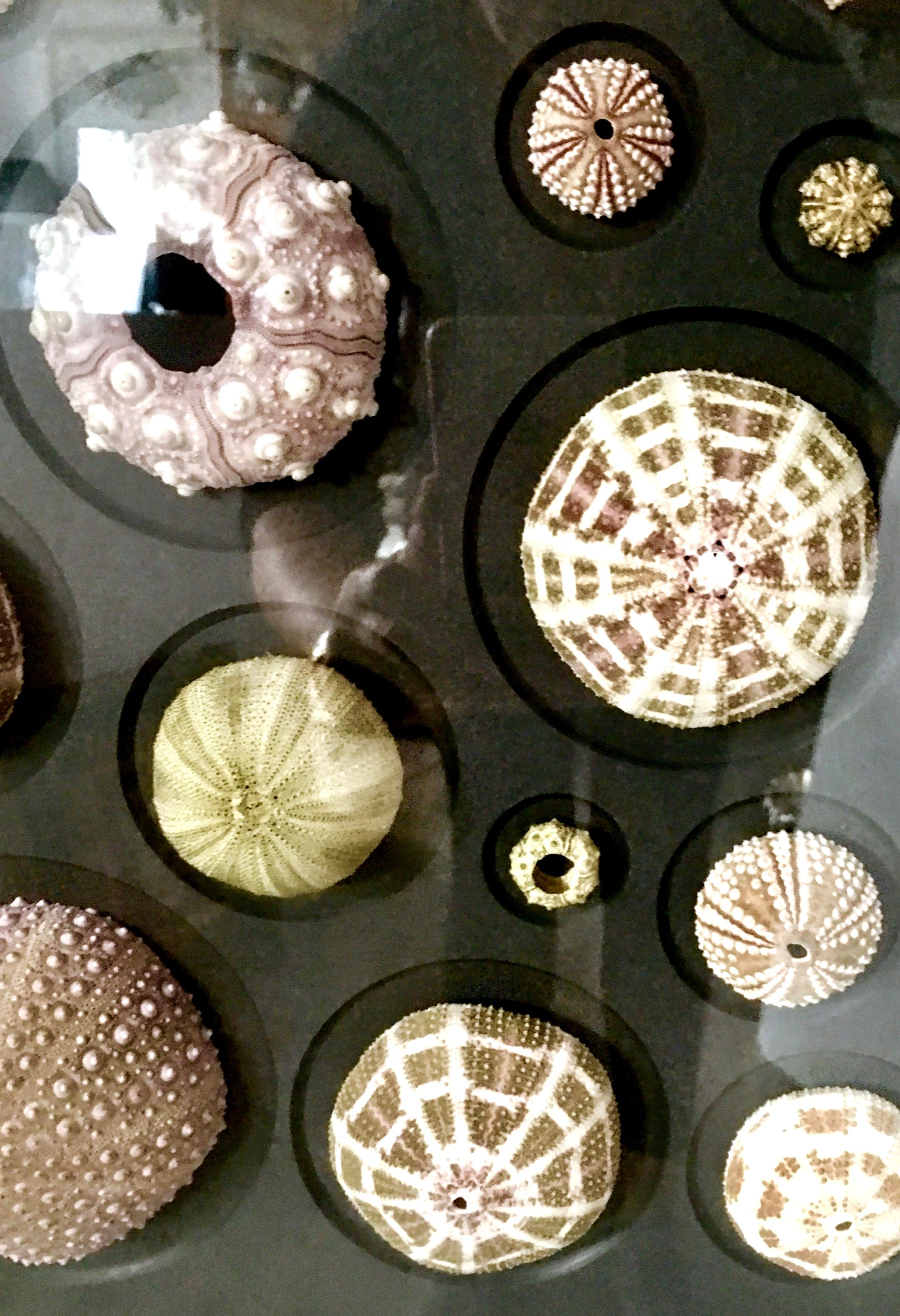 21st Century Original "Urchin Mosaic" Mounted and Framed by Christopher