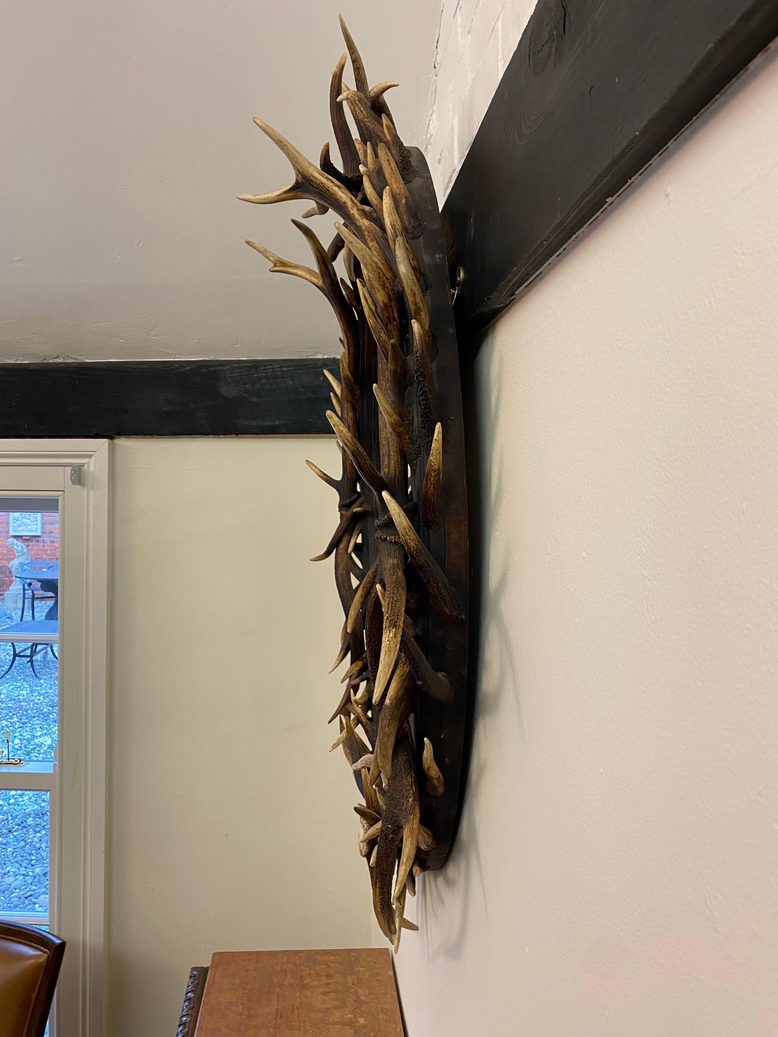 antler mirror