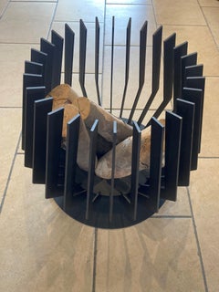 21st Century Outdoor Wood Burning Fire Pit