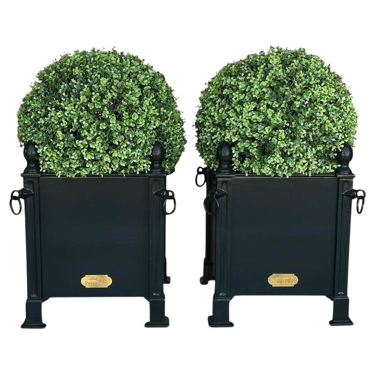 21st Century Pair of French Black Orangerie Planters