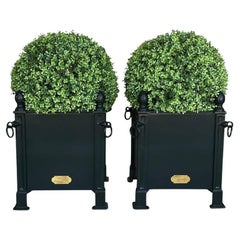 21st Century Pair of French Orangerie Planters