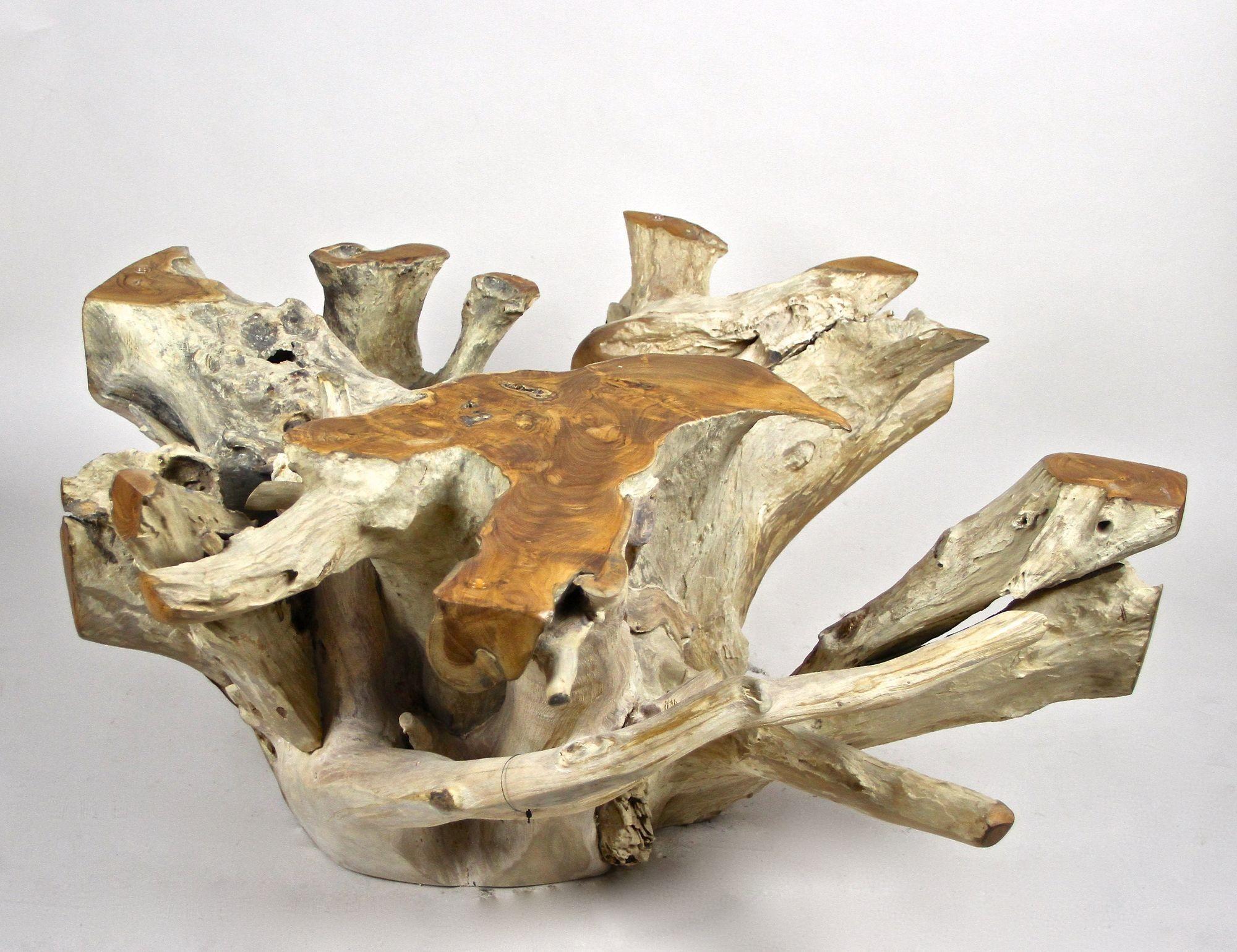 21st Century Round Teak Root Coffee Table with Glass Plate, Organic Modern, 2024 For Sale 4
