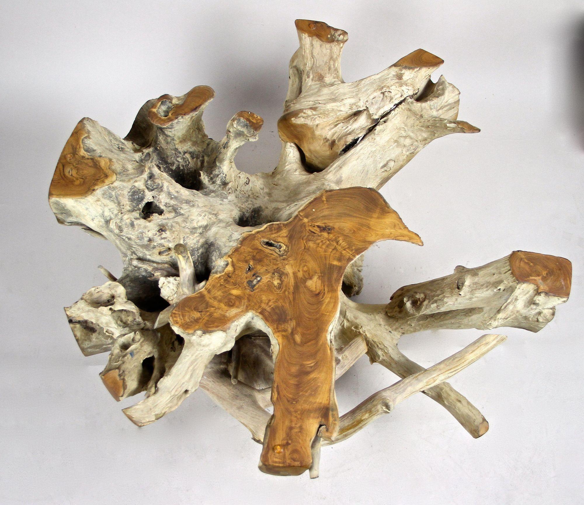 21st Century Round Teak Root Coffee Table with Glass Plate, Organic Modern, 2024 For Sale 5