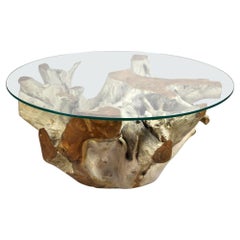 Mesa de centro redonda de raíz de teca del siglo XXI con placa de cristal, moderna orgánica, 2024