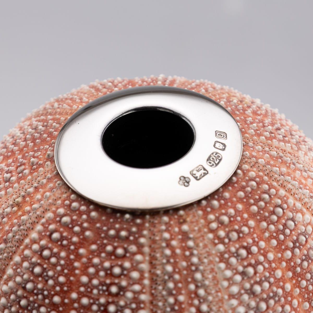 21st Century Silver-Mounted Sea Urchin Match Striker, London C.2006 For Sale 6