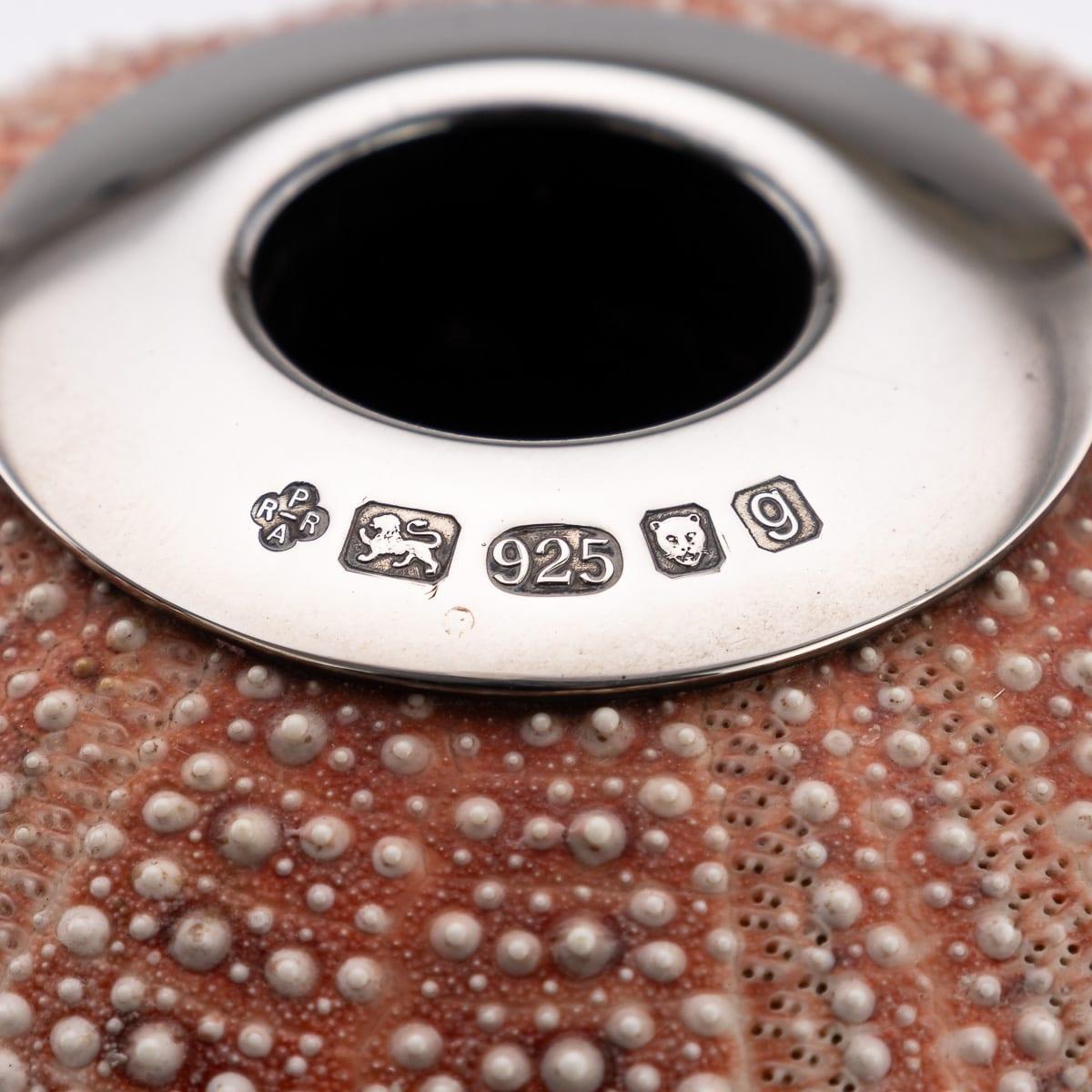 21st Century Silver-Mounted Sea Urchin Match Striker, London C.2006 For Sale 7