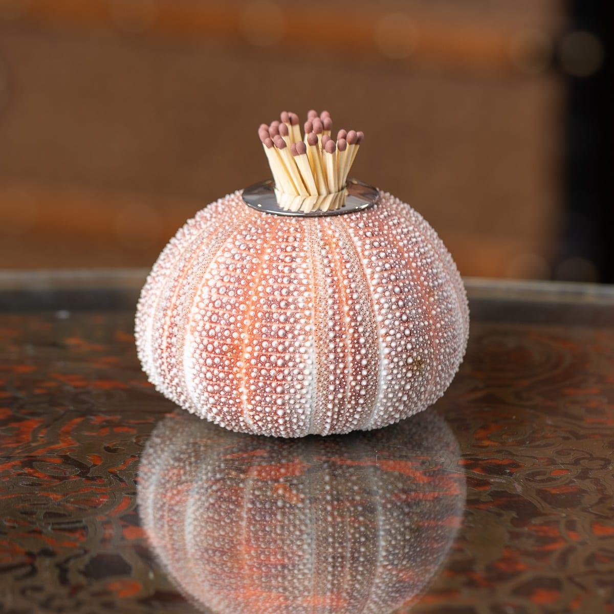 A superb 21st Century silver-mounted sea urchin match striker. Naturally round in form, it features a plain silver collar. The sea urchin displays vibrant pink, white, and red colouring with a richly textured surface. Hallmarked English silver, (925