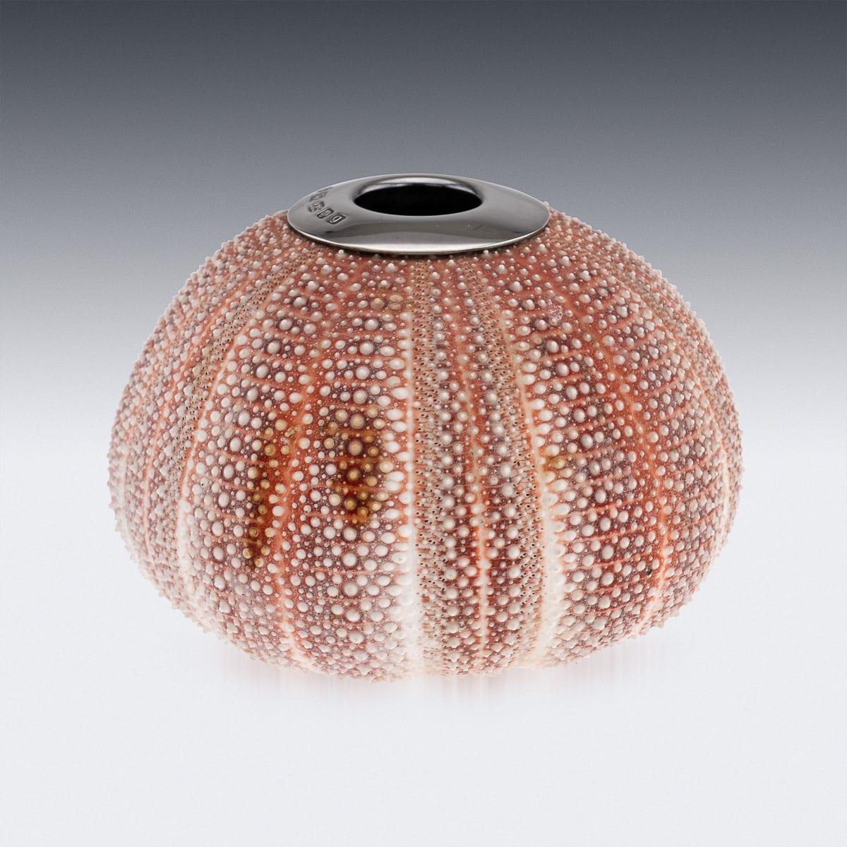 21st Century Silver-Mounted Sea Urchin Match Striker, London C.2006 In Good Condition For Sale In Royal Tunbridge Wells, Kent