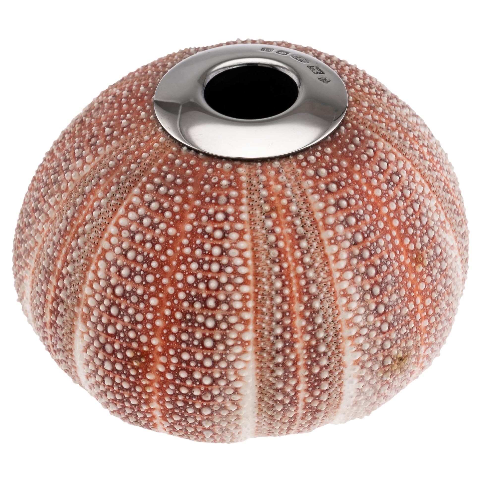 21st Century Silver-Mounted Sea Urchin Match Striker, London C.2006 For Sale