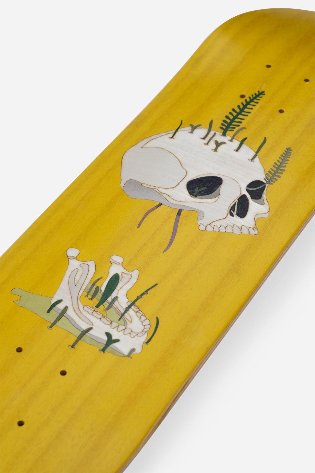 Old Skull Board 
Old Skull Board è una tavola da skateboard decorativa,
disponibile in due varianti colore e con un disegno intarsiato simbolo della continuità
della vita dopo la morte.
Old Skull Board is a wall decorative skateboard , available