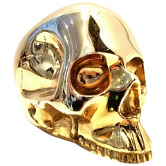 21st Century Solid Brass Skull Head Sculpture by, D.L. & Co.