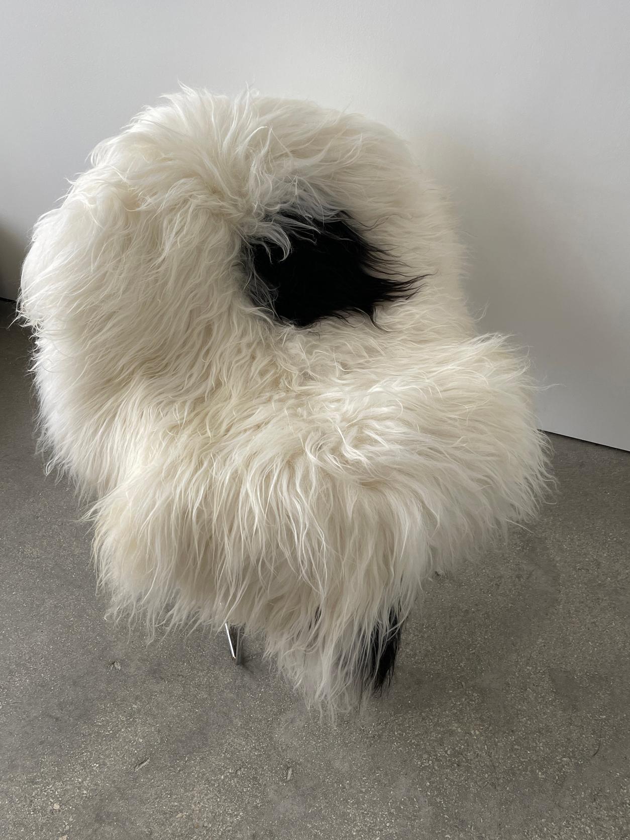 21st Century Spotted Icelandic Sheepskin with a beautiful thick coat and unique spotted colorway. Perfect XL size as a rug or cover for furniture.