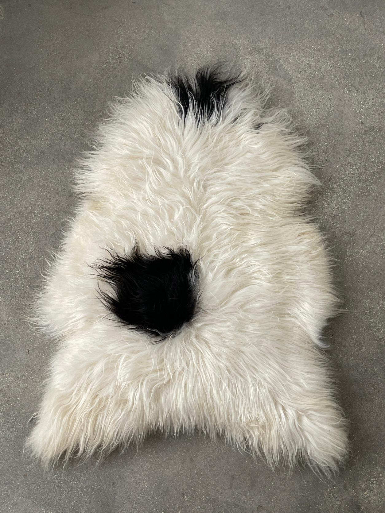 Mid-Century Modern 21st Century Spotted Icelandic Sheepskin For Sale