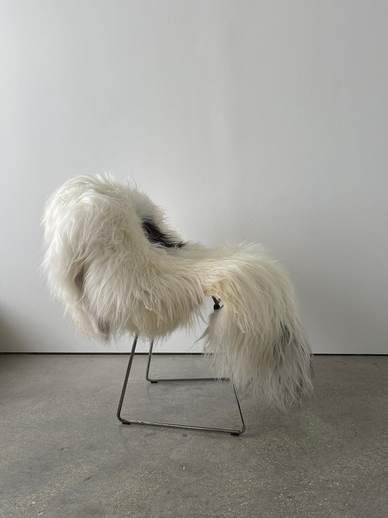 Contemporary 21st Century Spotted Icelandic Sheepskin For Sale