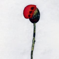 21st Century Tableware Coasters Inlay Serpentine Marble Semi Precious White