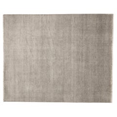 21st Century Transitional Rug