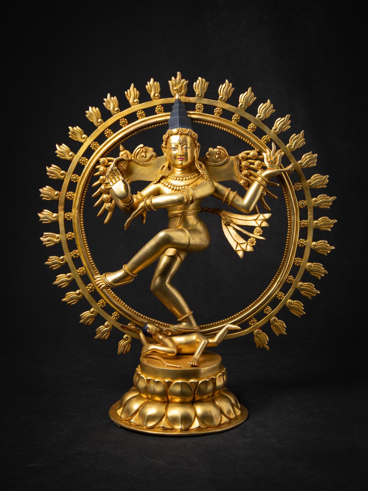 Cette très belle statue de Shiva Nataraja en bronze doré est un chef-d'œuvre de l'artisanat d'art, réalisé avec des matériaux et un savoir-faire de la plus haute qualité. Mesurant 55,8 cm de haut, 51 cm de large et 23 cm de profondeur, cette