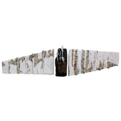 21st Century Wall sculpture "Fragmento de Paisaje" by Genaro Bastardo Organic