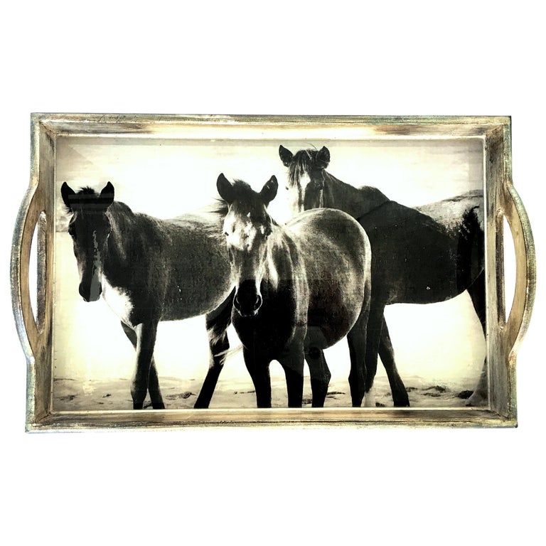 21st Century Wood and Glass Handle "Horse" Tray For Sale