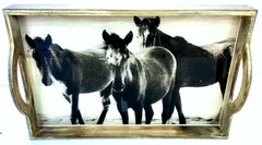 21st Century Wood and Glass Handle "Horse" Tray