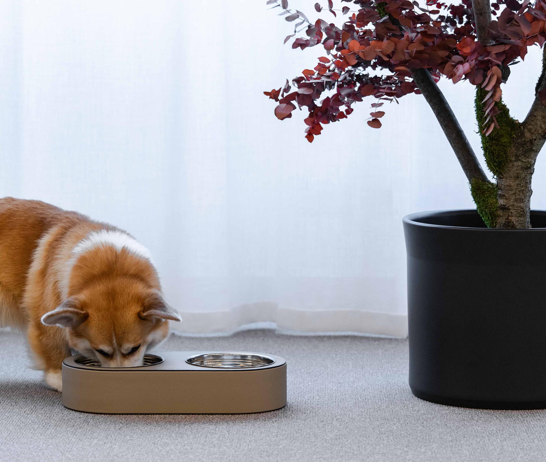 Italian 21st Pet Bowl Small in Wood & Calf Leather For Sale