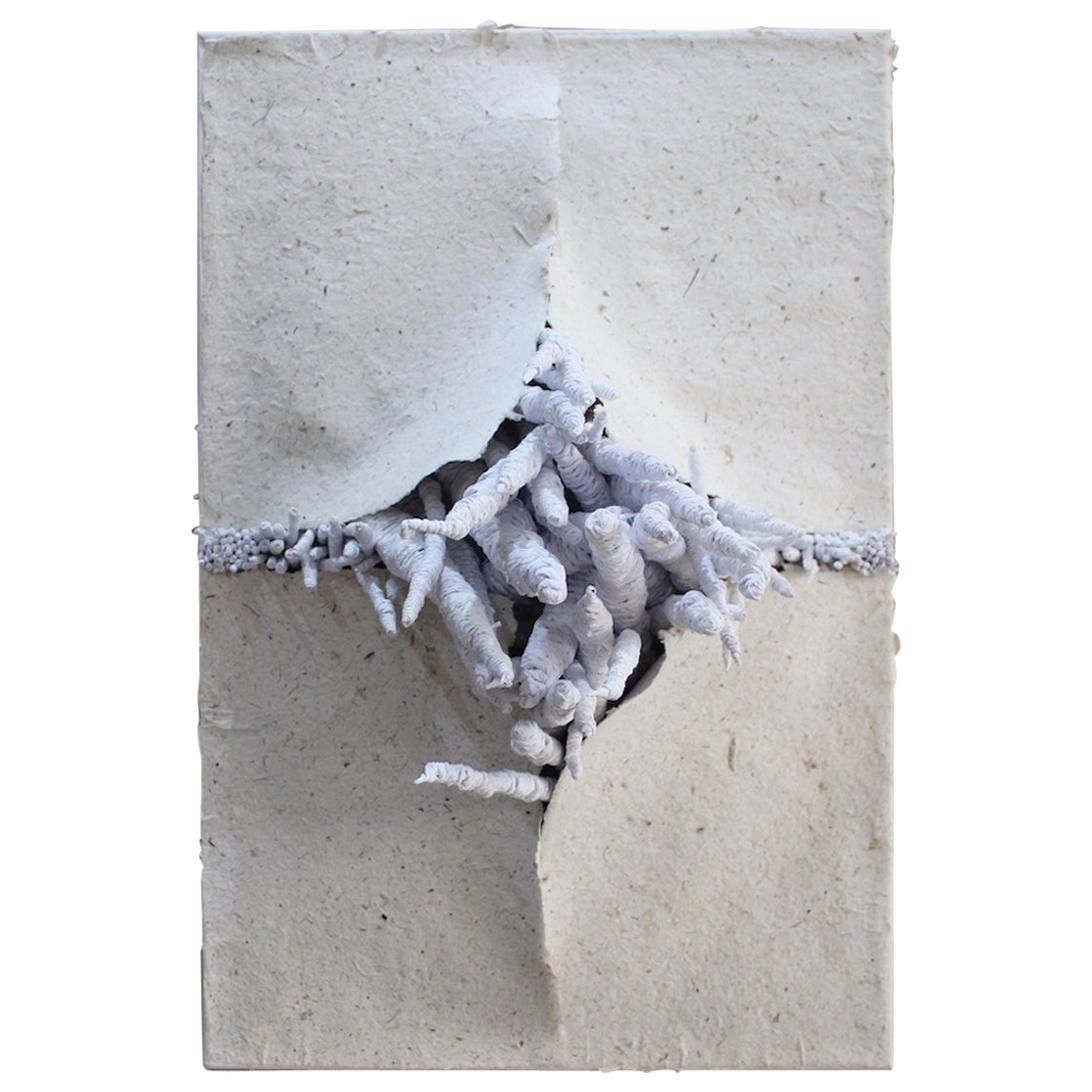 21st Sculpture "Lo que brota" by Genaro Bastardo" Paper White Modern Handmade 