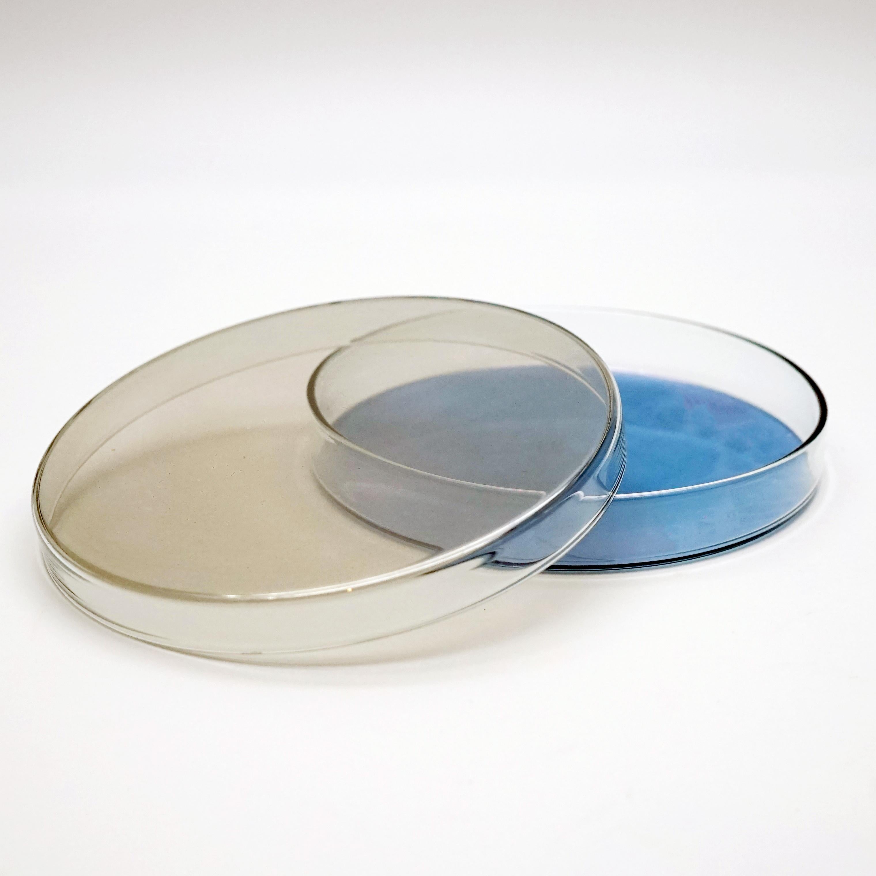 21th Century Borosilicate Glass Box Set Handpainted, Four Moons by Kanz 3