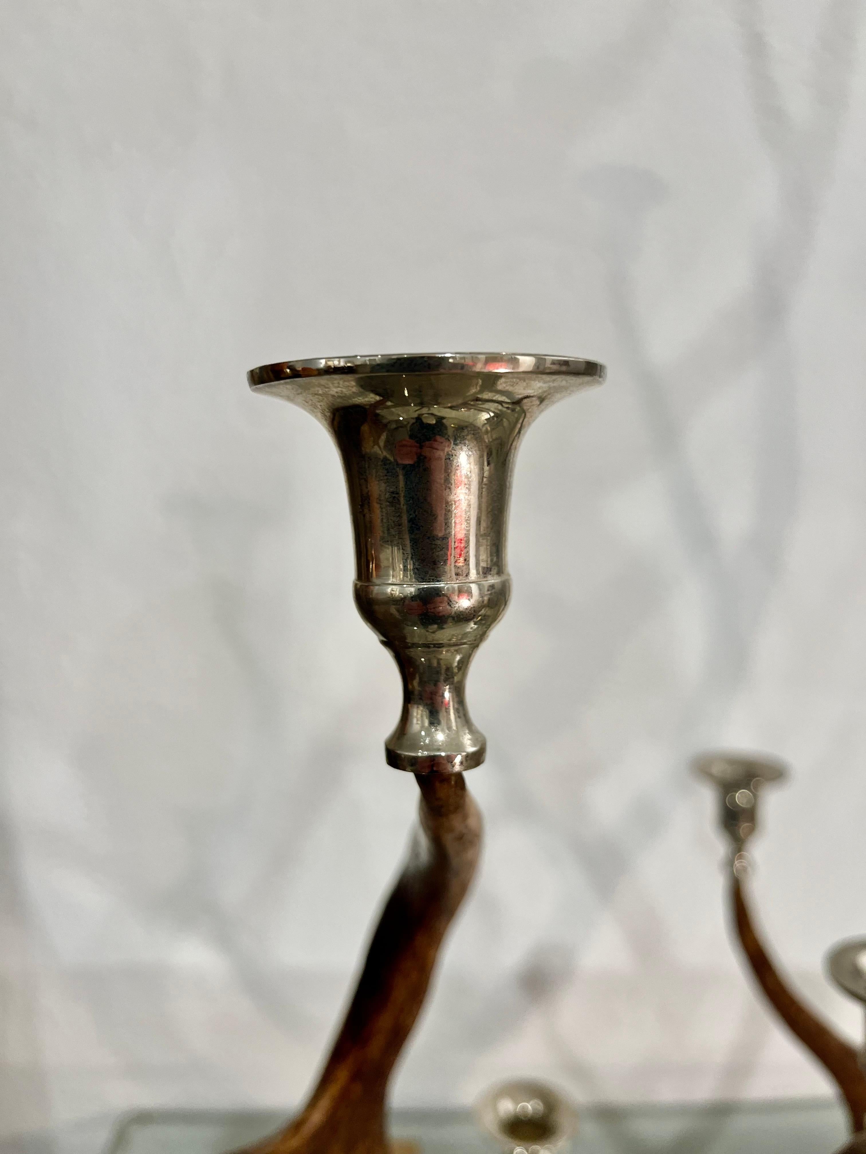 21th Century Pair of Deer Antler and Metal Candlestick 6