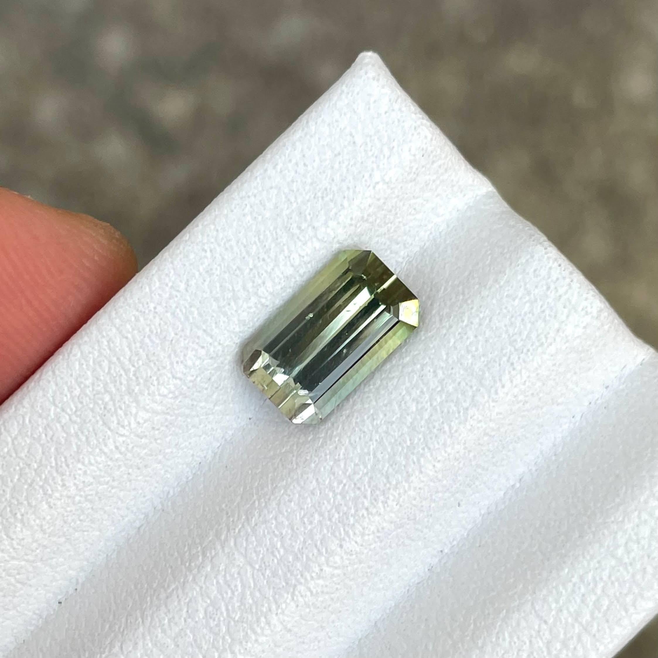 Poids 2,20 carats 
Dimensions 9,5x5,7x4,4 mm
Traitement aucun 
Origine Afrique 
Clarté VVS 
Forme octogonale 
Taille émeraude 



Cette étonnante tourmaline bicolore de 2,20 carats est une pierre précieuse rare et exquise, présentant un mélange