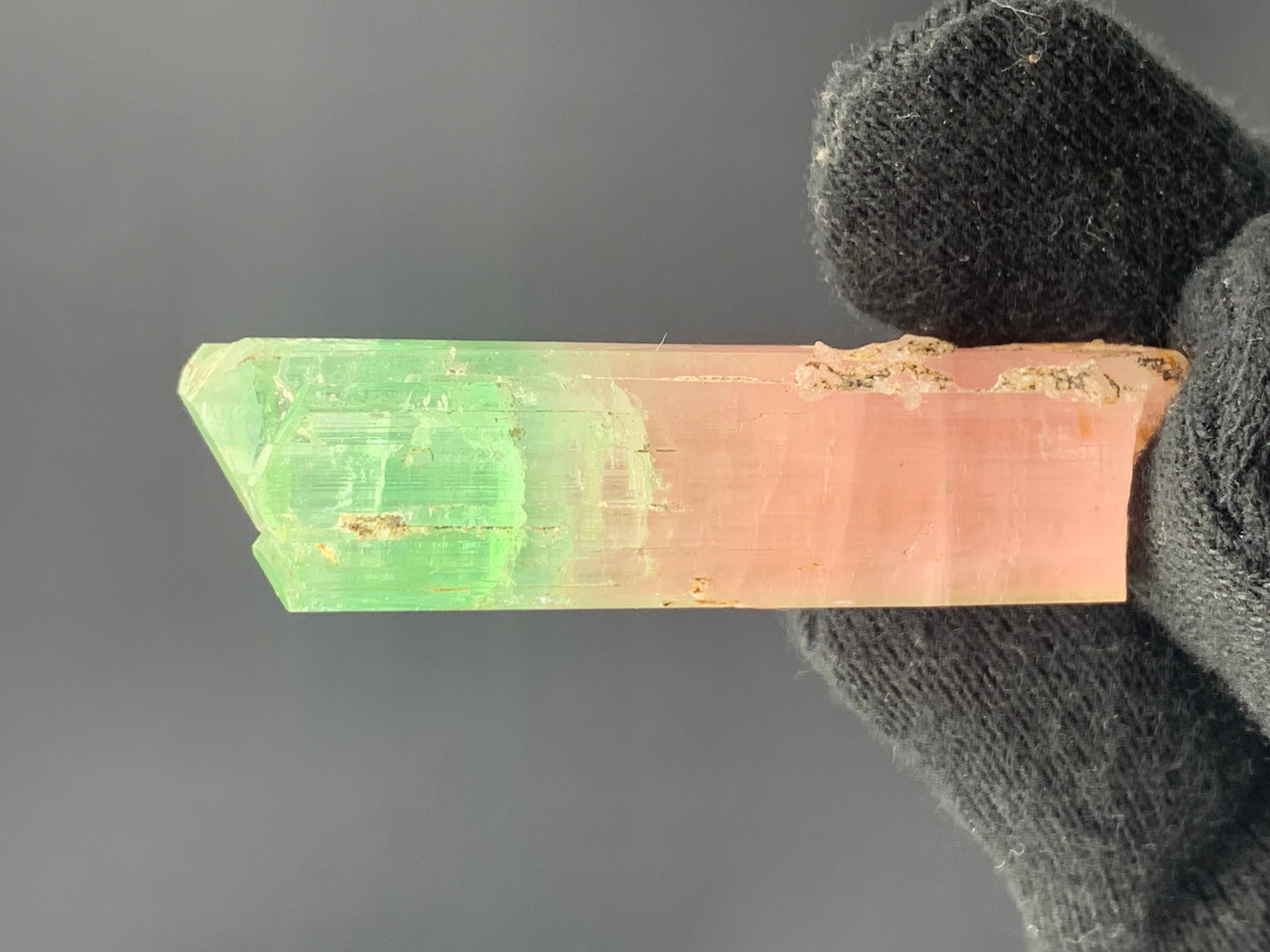 18th Century and Earlier 22.17 Gram Bi Colour Tourmaline Specimen From Kunar, Afghanistan  For Sale