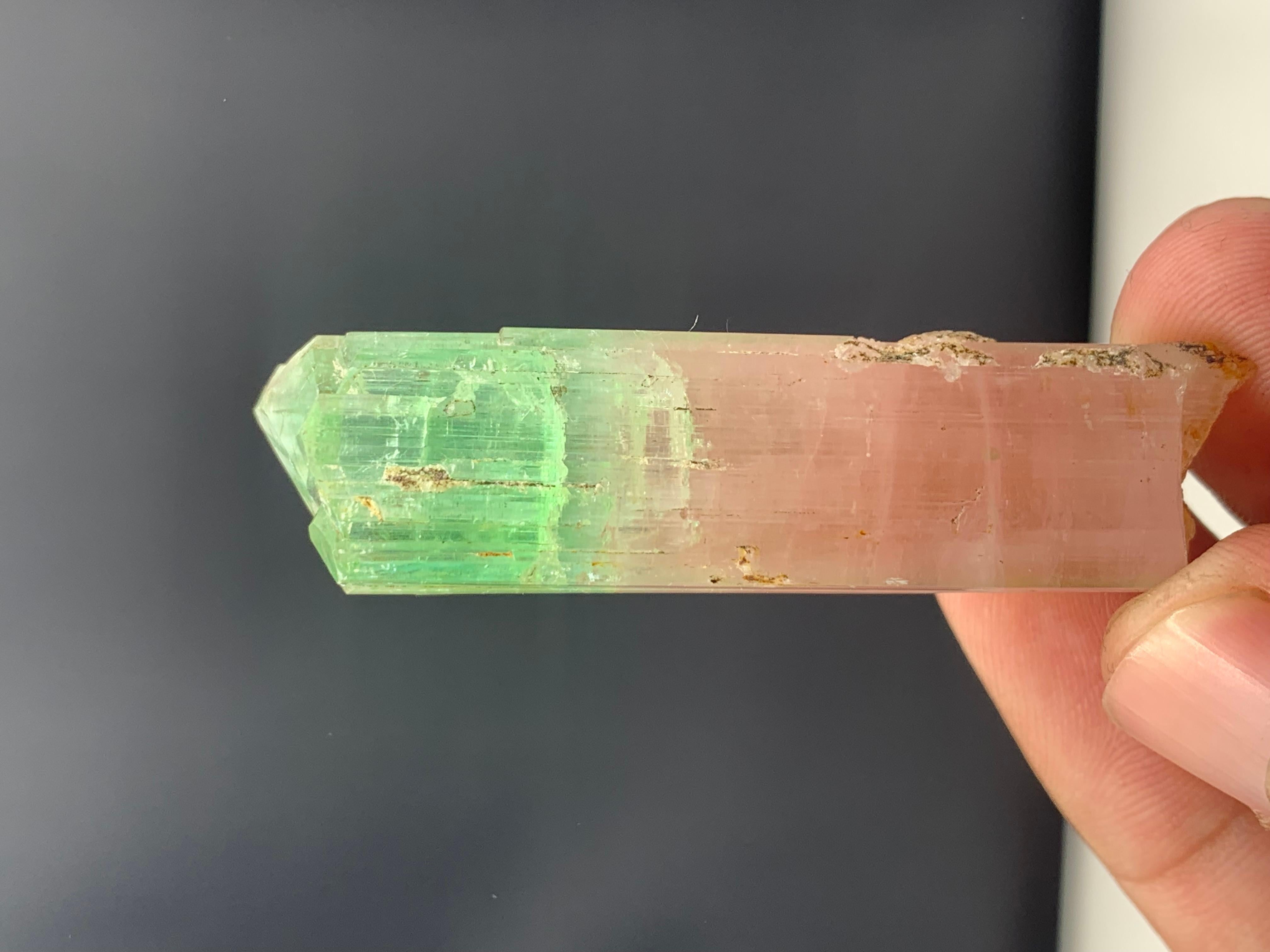 Cristal de roche Spécimen de tourmaline bicolore de Kunar, Afghanistan, 22,17 grammes  en vente