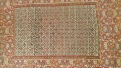 224 - 19th Century Kilim 'Senneh'