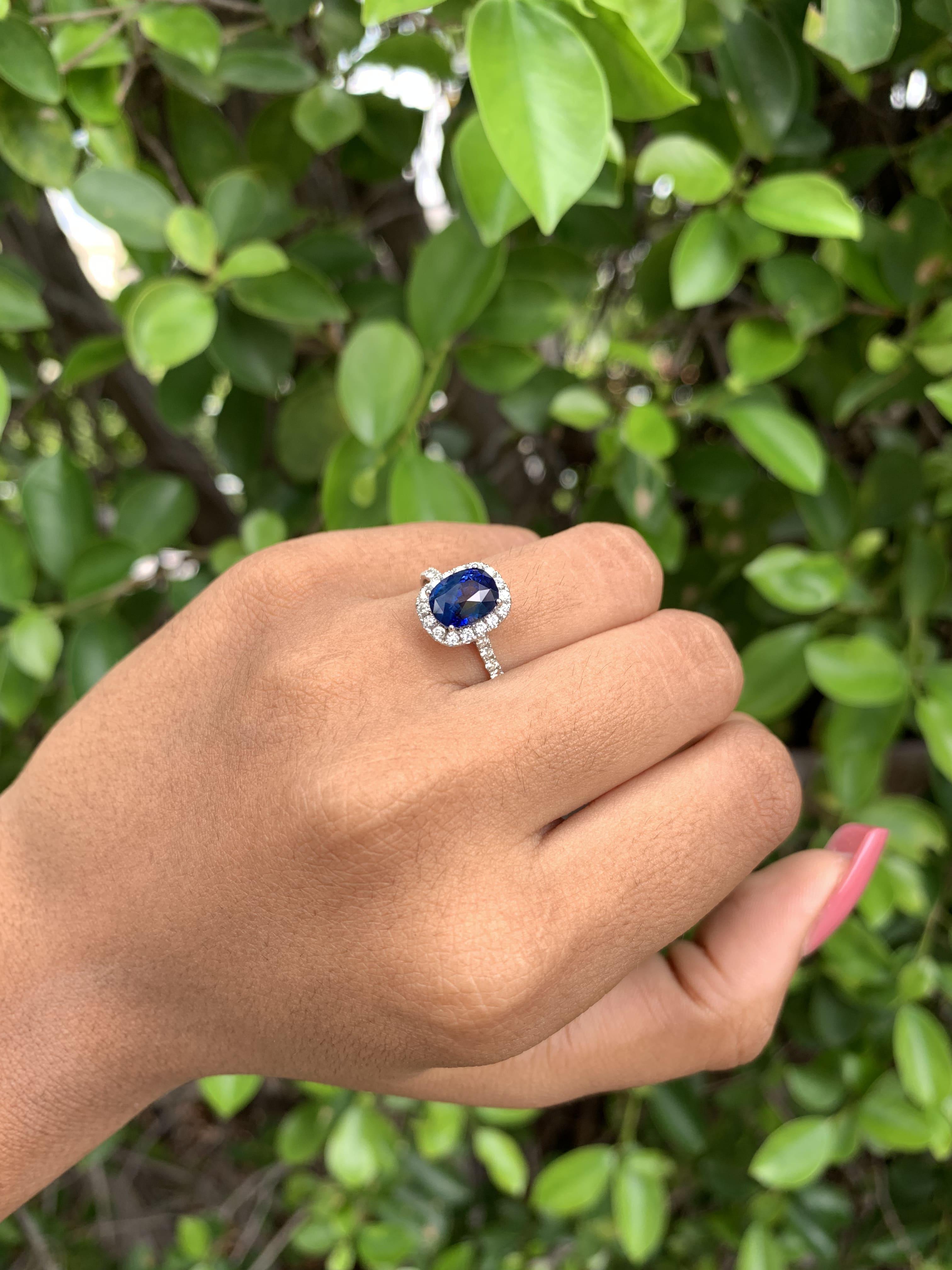 2.24 Ct Royal Blue Sapphire with Halo Diamonds 14K White Gold Ring For Sale 2
