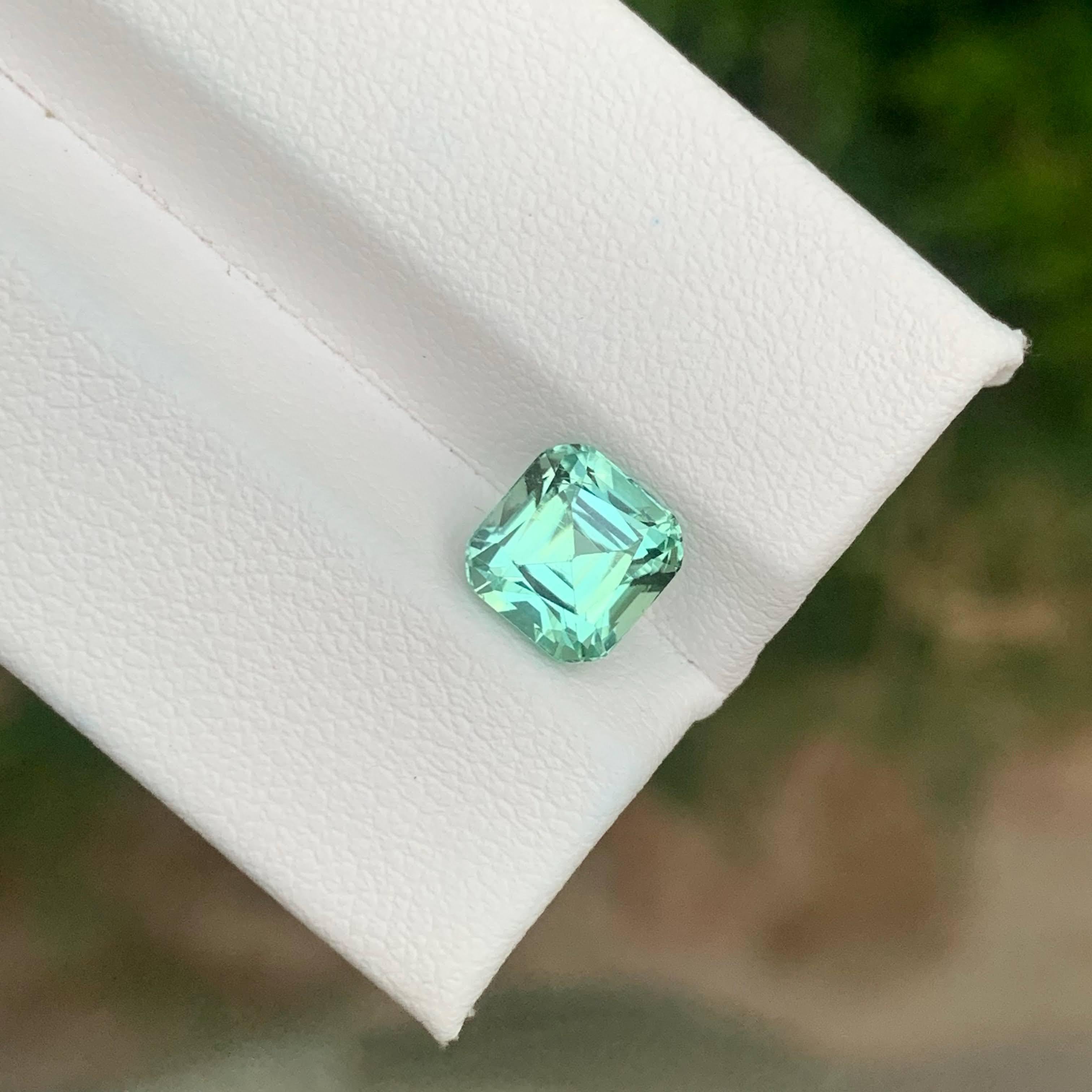 Poids 2,25 carats
Dimensions 7.1x6.9x5.9mm
Traitement Aucun
Origine afghane
Clarity Eye Clean
Forme Coupe Coussin
NA



Cette tourmaline naturelle Seafoam de 2,25 carats est une pierre précieuse rare et rafraîchissante, affichant un mélange délicat