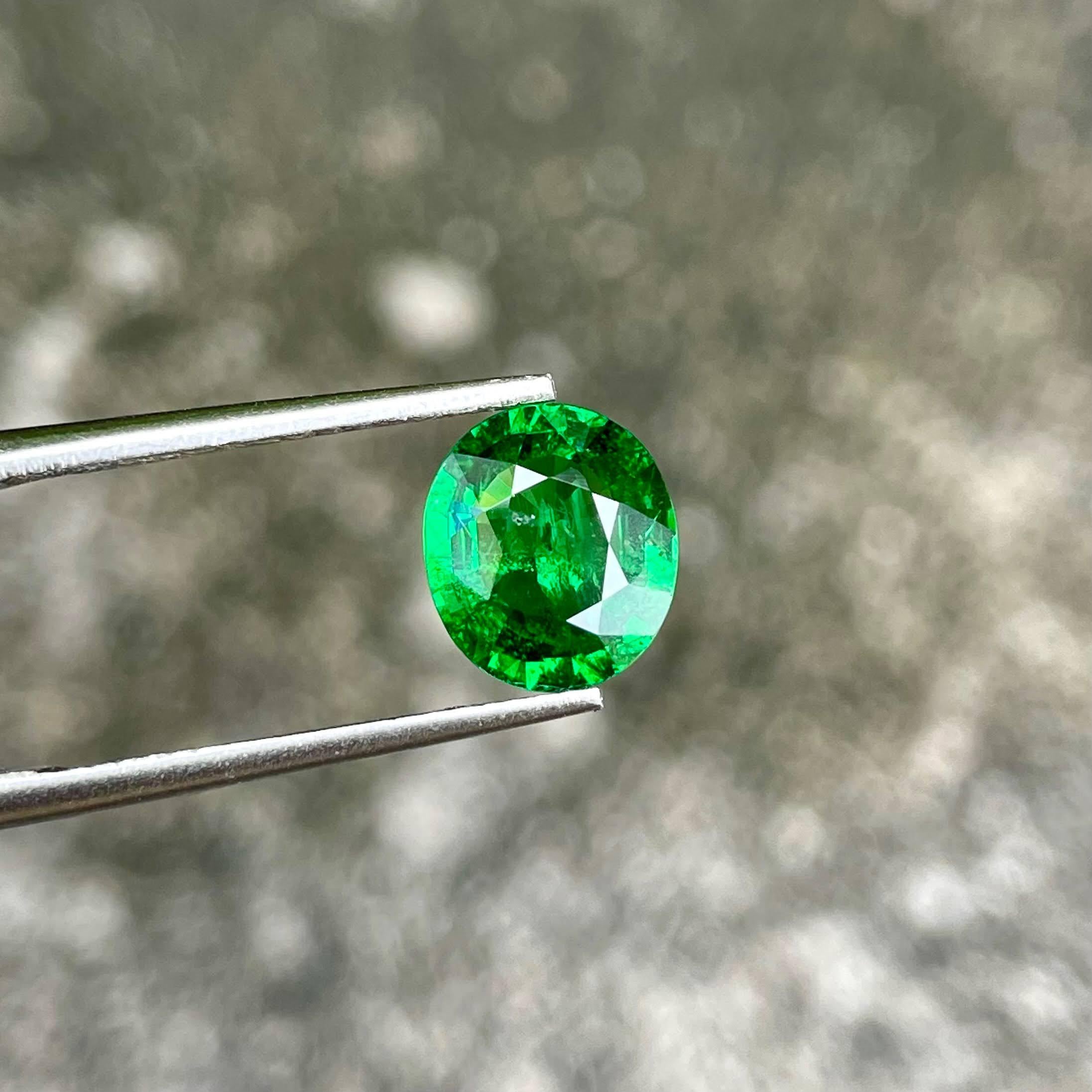 Peso 2,25 carati 
Dimensioni 9,1x8,0x3,9 mm
Trattamento nessuno 
Origine Kenya 
Chiarezza VVS 
Forma ovale 
Taglio sfaccettato 



Questo squisito Granato Tsavorite da 2,25 carati è un esempio accattivante della bellezza della natura, caratterizzato